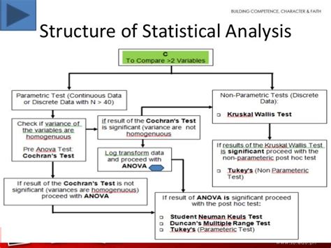 STATISTICAL ANALYSIS OF STRUCTURAL 